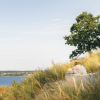 Women enjoy the view over Vejle Fjord at Hvidbjerg Beach