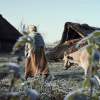 Woman with cow at Vingsted Jernalder