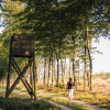 A woman walks in the thicket at Kollemorten on a mushroom trip