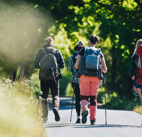  Five hikers on Hærvejen on a summer day