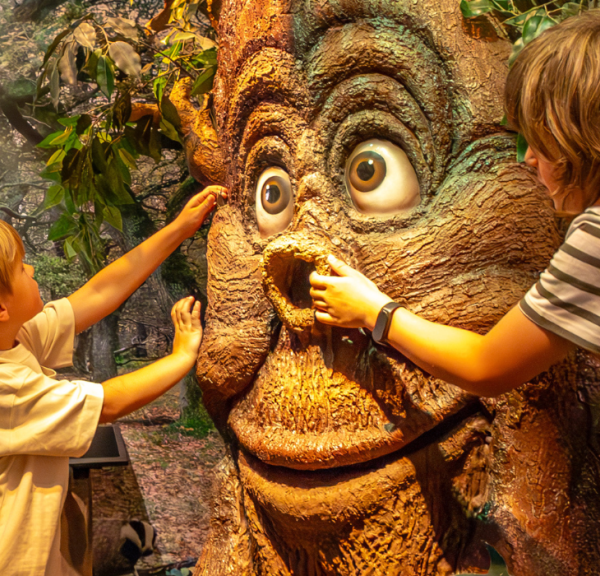 Children play with a talking tree at the Økolariet