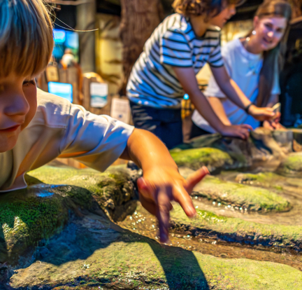 Children play and learn about water at the Økolariet