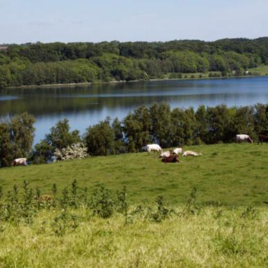 Fårup Sø