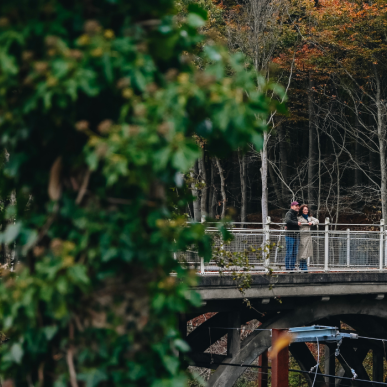 Couple on a walk on an autumn day by Nørreskoven in Vejle