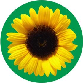 The sunflower program logo
