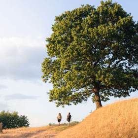 Two on a hike at Runkenbjerg on a summer day