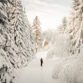 A person on a walk in the snow-covered landscape in Kollemorten 