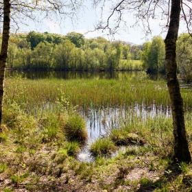 Nature at the source of Gudenåen and Skjern Å