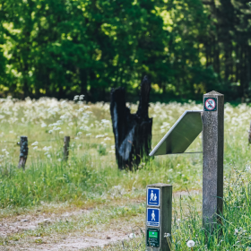Woman hiking on the Hærvejen on a summer day
