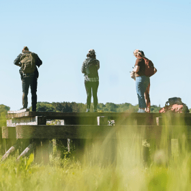Group of hikers on a hiking trip along the Hærvejen by the Ravning Bridge near Vejle
