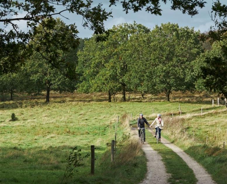 A couple cycling hand in hand at the source of Gudenåen