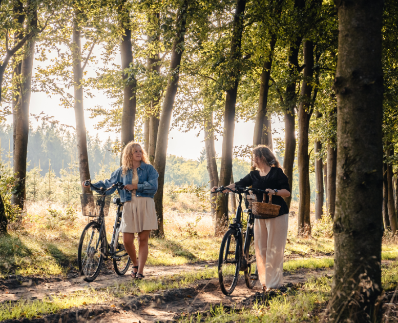 Two women on a mushroom tour in the forest with bicycles
