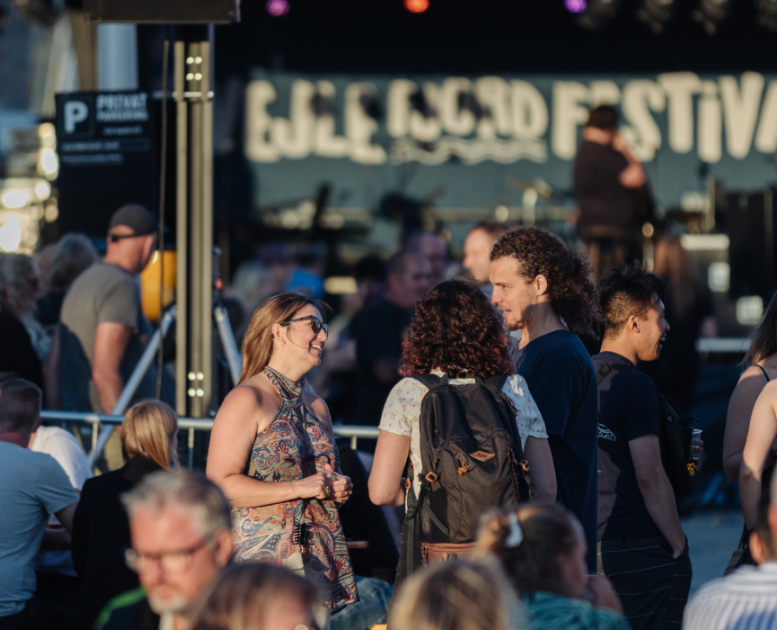  People in front of the stage at the Vejle Fjordfestival