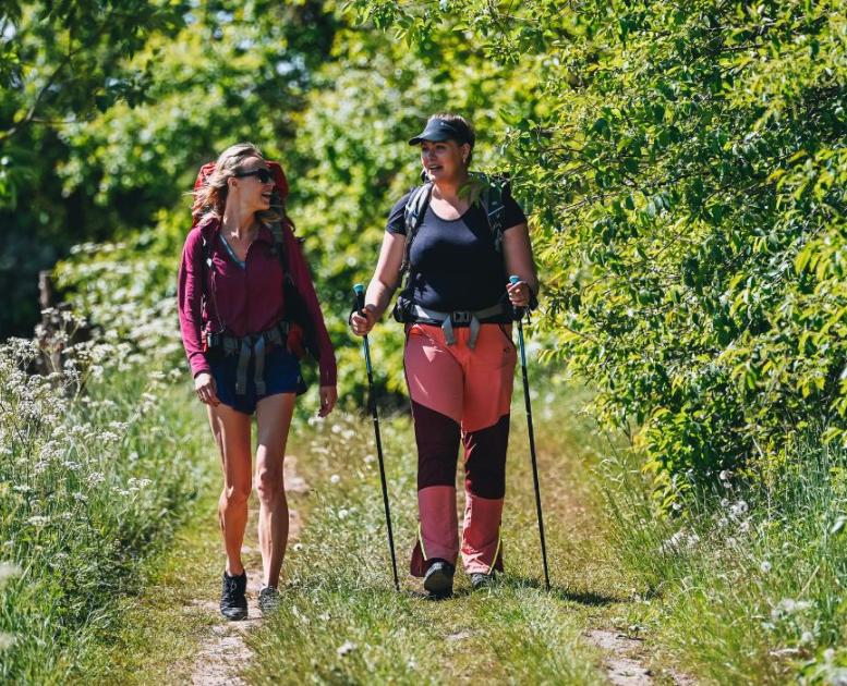 Two people are hiking along Hærvejen on a summer day