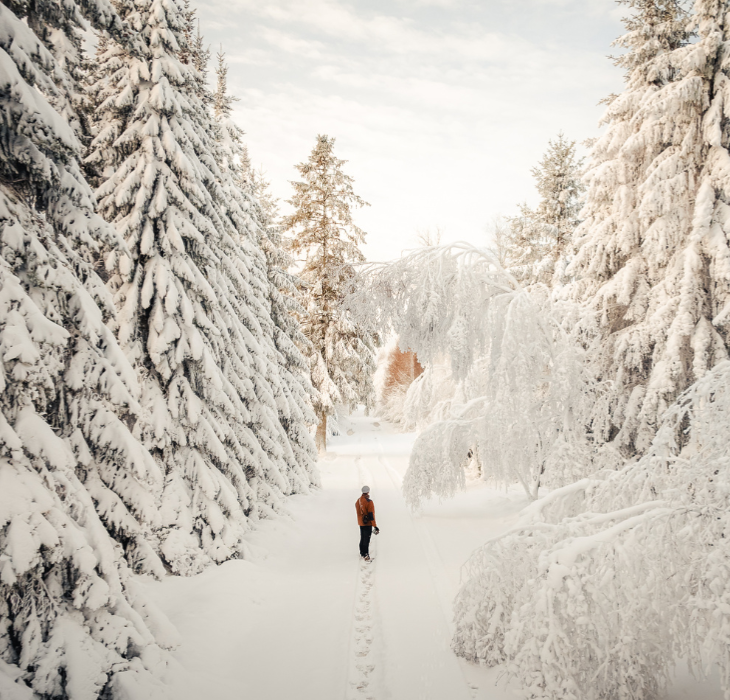 A person on a walk in the snow-covered landscape in Kollemorten 