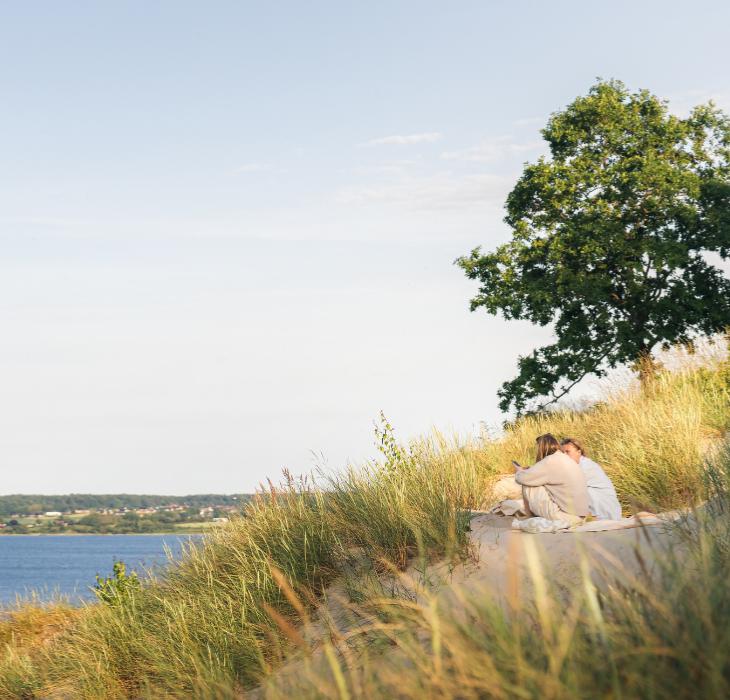 Women enjoy the view over Vejle Fjord at Hvidbjerg Beach