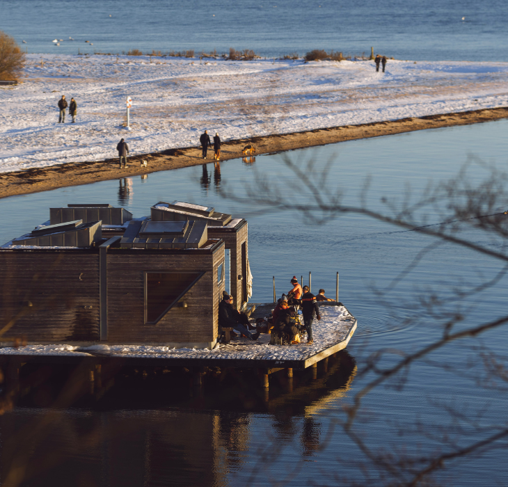 Tirsbæk Beach by Vejle Fjord on a winter day